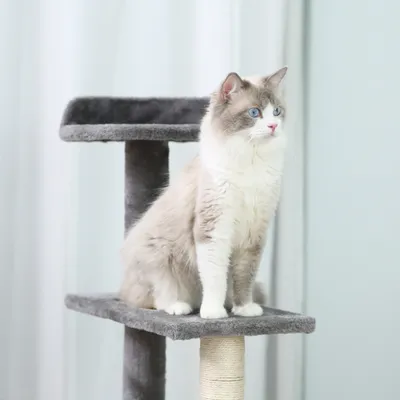 PawHut Kratzbaum
