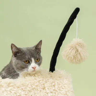 PawHut Kratzbaum