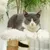 PawHut Kratzbaum