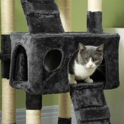 PawHut Kratzbaum