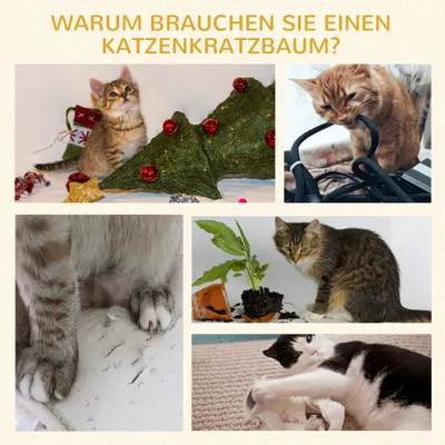 PawHut Kratzbaum