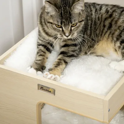 PawHut Katzenhaus