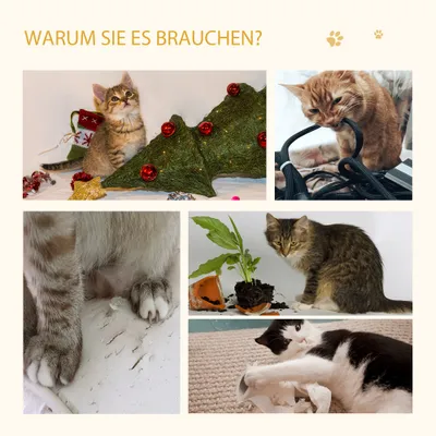 PawHut Katzenhaus