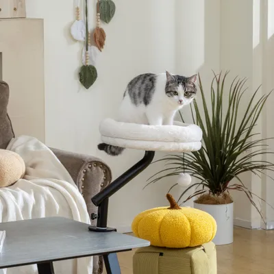 PawHut Katzen-Schreibtischbett