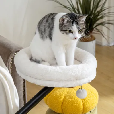 PawHut Katzen-Schreibtischbett