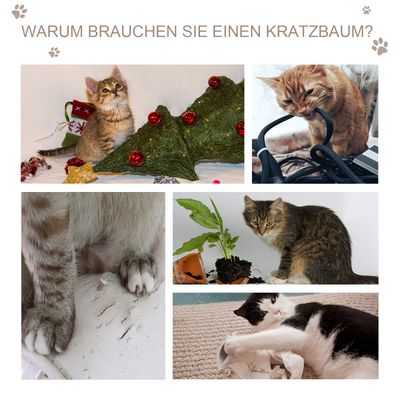 PawHut Katzenhaus