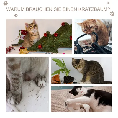 PawHut Katzenhaus