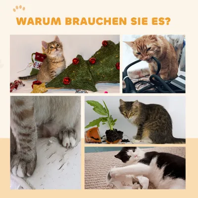 PawHut Katzenlaufrad