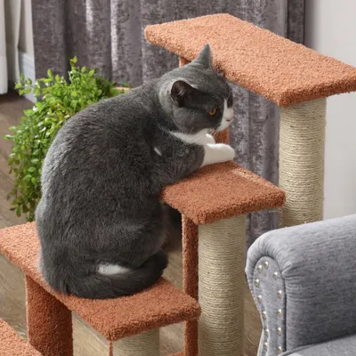 PawHut Katzentreppe PawHut Katzentreppe