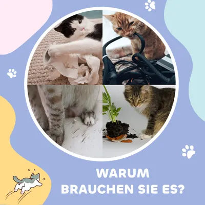 PawHut Katzentunnel PawHut Katzentunnel
