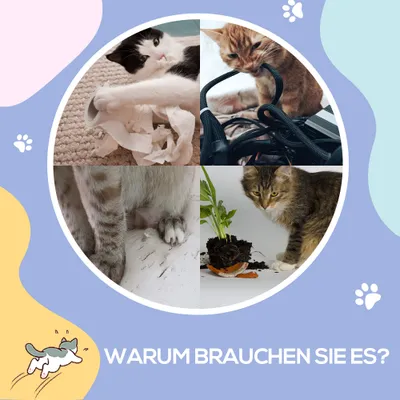 PawHut Katzentunnel PawHut Katzentunnel