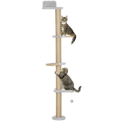 PawHut Kletterwand