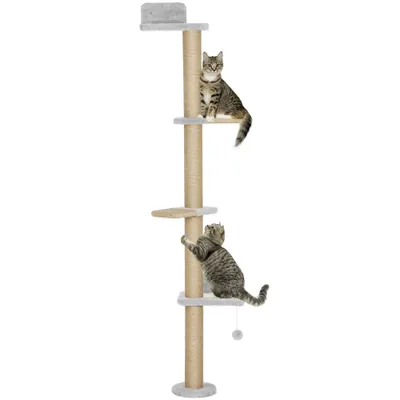PawHut Kletterwand