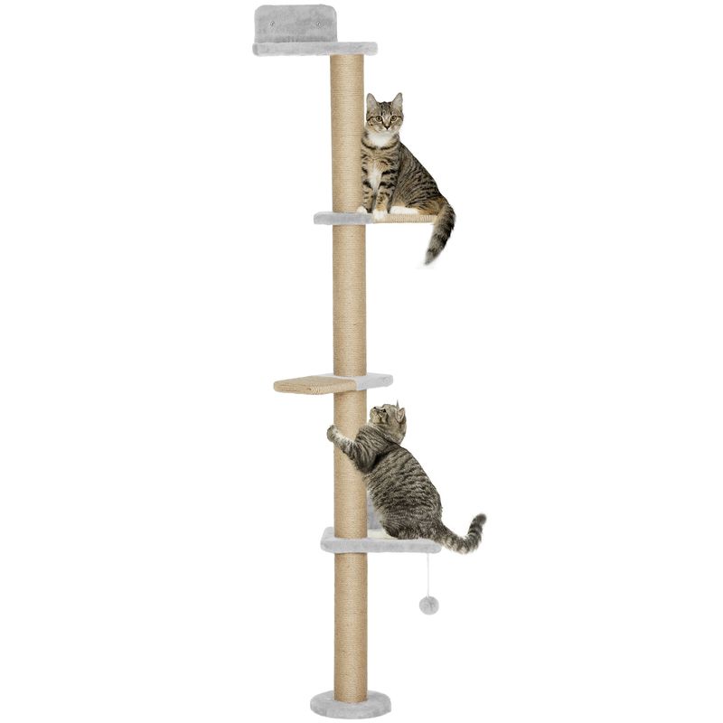 PawHut Kletterwand