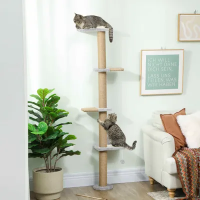 PawHut Kletterwand