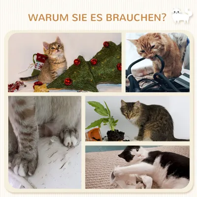 PawHut Kletterwand