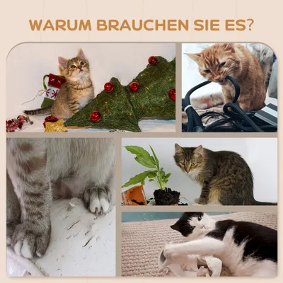 PawHut Kletterwand