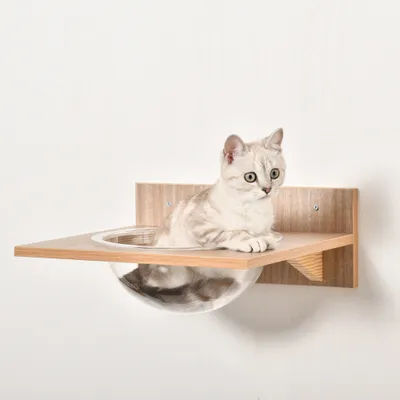 PawHut Kletterwand