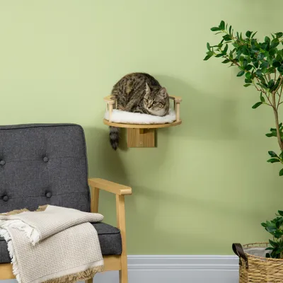 PawHut Kletterwand