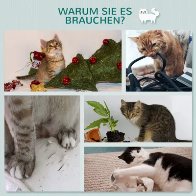PawHut Kletterwand