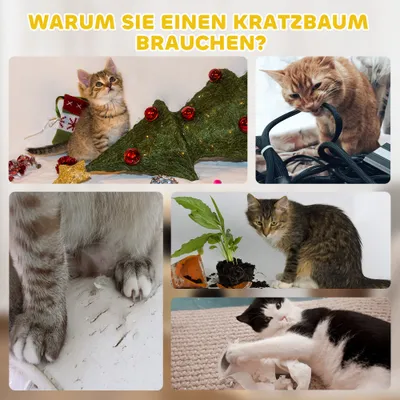 PawHut Kratztonne