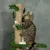 PawHut Kratzbaum