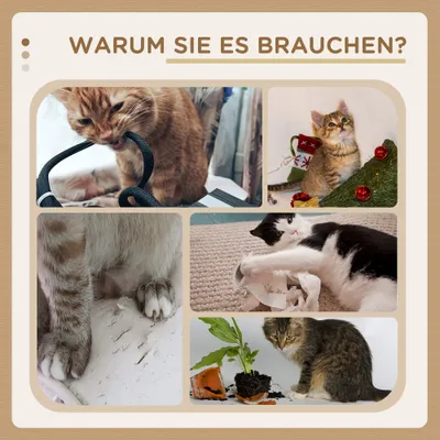 PawHut Kratzbaum