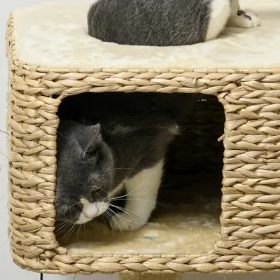 PawHut Kratzbaum