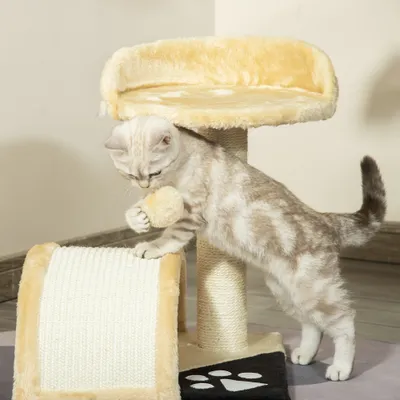 PawHut Kratzbaum