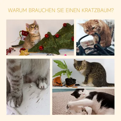 PawHut Kratzbaum PawHut Kratzbaum