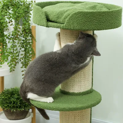 PawHut Kratzbaum