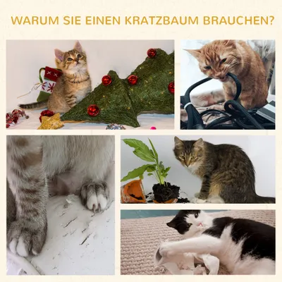 PawHut Kratztonne