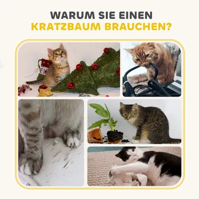 PawHut Kratztonne PawHut Kratztonne