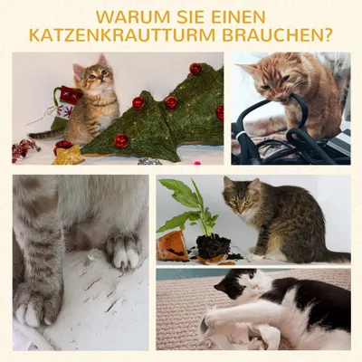 PawHut Kratzbaum PawHut Kratzbaum