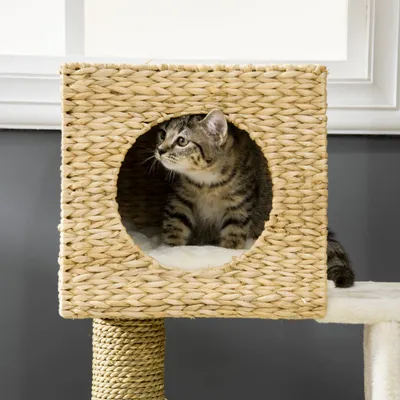 PawHut Kratzbaum