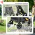 PawHut Hundewagen