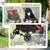 PawHut Hundewagen