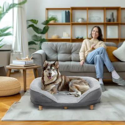 PawHut Hundesofa
