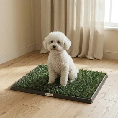 PawHut Hundetoilette PawHut Hundetoilette