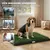 PawHut Hundetoilette PawHut Hundetoilette
