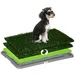 PawHut Hundetoilette