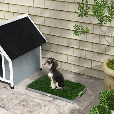PawHut Hundetoilette