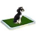 PawHut Hundetoilette