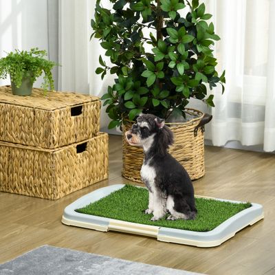 PawHut Hundetoilette