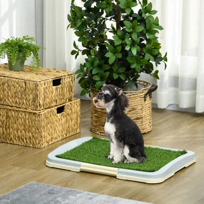 PawHut Hundetoilette