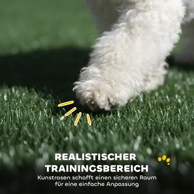 PawHut Hundetoilette PawHut Hundetoilette
