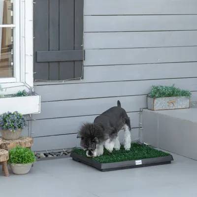 PawHut Hundetoilette PawHut Hundetoilette