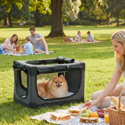 PawHut Hundetransportbox faltbar PawHut Hundetransportbox faltbar