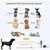 PawHut Hundetasche
