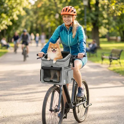 PawHut Fahrrad Hundekorb vorne